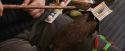 PF-Potterish_03143.jpg