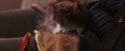 PF-Potterish_03144.jpg