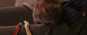 PF-Potterish_03145.jpg