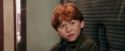 PF-Potterish_03158.jpg