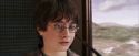 PF-Potterish_03177.jpg