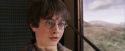 PF-Potterish_03179.jpg
