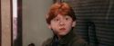 PF-Potterish_03181.jpg