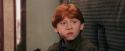 PF-Potterish_03186.jpg