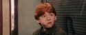 PF-Potterish_03187.jpg