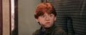 PF-Potterish_03188.jpg