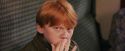 PF-Potterish_03226.jpg