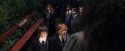 PF-Potterish_03269.jpg