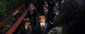 PF-Potterish_03272.jpg