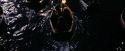 PF-Potterish_03299.jpg