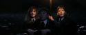 PF-Potterish_03325.jpg