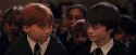 PF-Potterish_03401.jpg