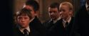 PF-Potterish_03413.jpg