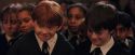 PF-Potterish_03454.jpg