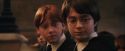 PF-Potterish_03469.jpg