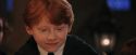 PF-Potterish_03489.jpg