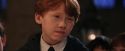 PF-Potterish_03495.jpg