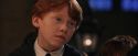 PF-Potterish_03504.jpg