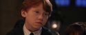 PF-Potterish_03506.jpg