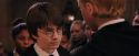 PF-Potterish_03507.jpg