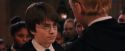PF-Potterish_03508.jpg