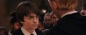 PF-Potterish_03509.jpg