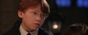 PF-Potterish_03516.jpg