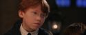 PF-Potterish_03517.jpg