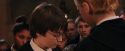 PF-Potterish_03523.jpg