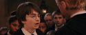 PF-Potterish_03525.jpg