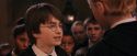 PF-Potterish_03526.jpg
