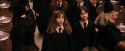 PF-Potterish_03577.jpg