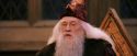 PF-Potterish_03624.jpg