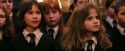 PF-Potterish_03628.jpg
