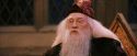 PF-Potterish_03629.jpg