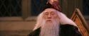 PF-Potterish_03632.jpg