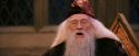 PF-Potterish_03634.jpg