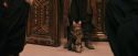 PF-Potterish_03645.jpg