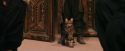 PF-Potterish_03646.jpg