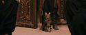 PF-Potterish_03647.jpg