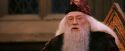 PF-Potterish_03651.jpg