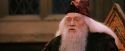 PF-Potterish_03653.jpg