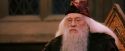 PF-Potterish_03654.jpg