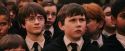 PF-Potterish_03658.jpg
