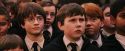 PF-Potterish_03659.jpg