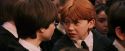 PF-Potterish_03744.jpg