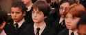 PF-Potterish_03750.jpg