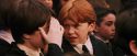 PF-Potterish_03762.jpg