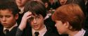 PF-Potterish_03764.jpg