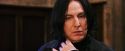 PF-Potterish_03768.jpg